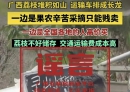 “广西荔枝堆积如山，只能贱卖”？真相来了→