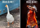 闷热+暴雨！36度的北流，热爆！