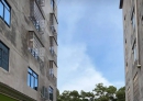 北流大坡外临时新市场已搭建完成，位置在……