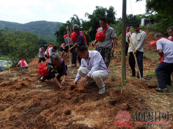 图为李武（前排右一）在指导种植户种植沉香树苗.jpg