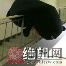 7b5193ae67bd8c7cb4c627fd364790b1.jpg