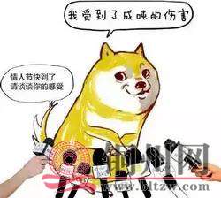 5db98c8385472e938c4b54eda84784cf.jpg