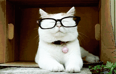 9f703b0113f6665160c092eab027e3ab.gif