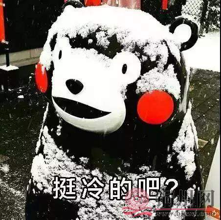 337df3549978ea8b96de77efa4fadc4c.jpg