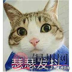c6f7db9e6d232d9551d6cac01591b6cb.jpg