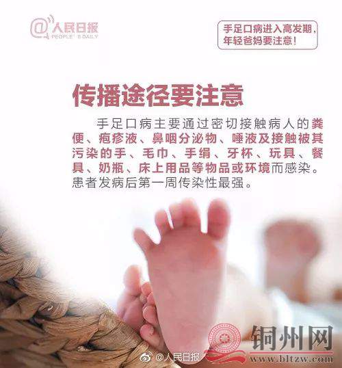 181fe4681b1cc4b96e9af9cd030ce472.jpg