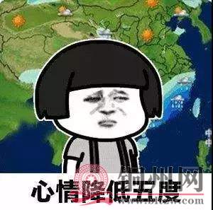 d5031c42e57be6d8d37a2d2679dcc2cc.jpg