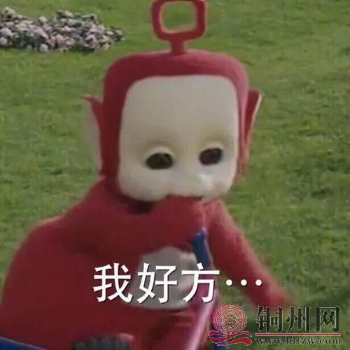 640.webp.jpg