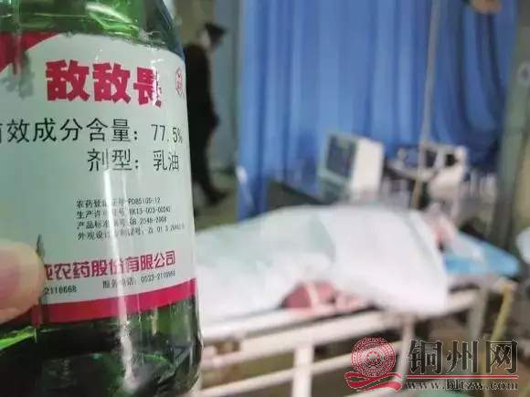 t017a82408f5c3d522a.webp.jpg