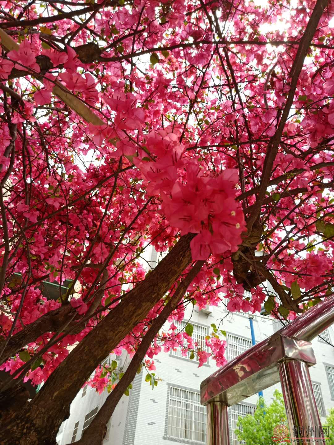 微信图片_20190320152418.jpg