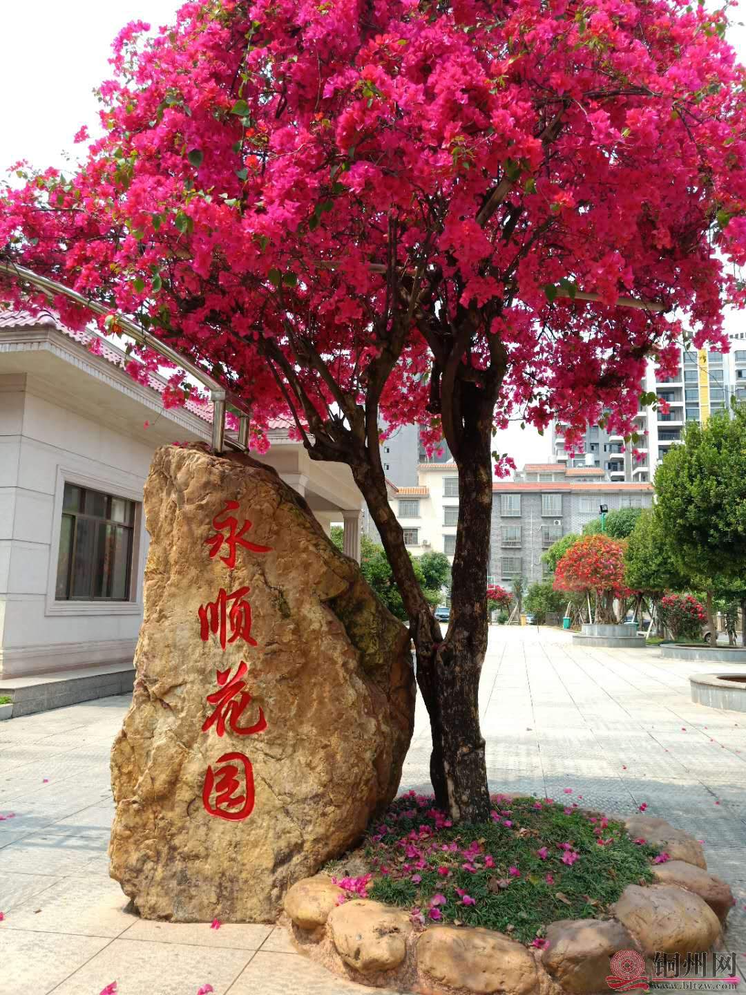 微信图片_20190320152315.jpg