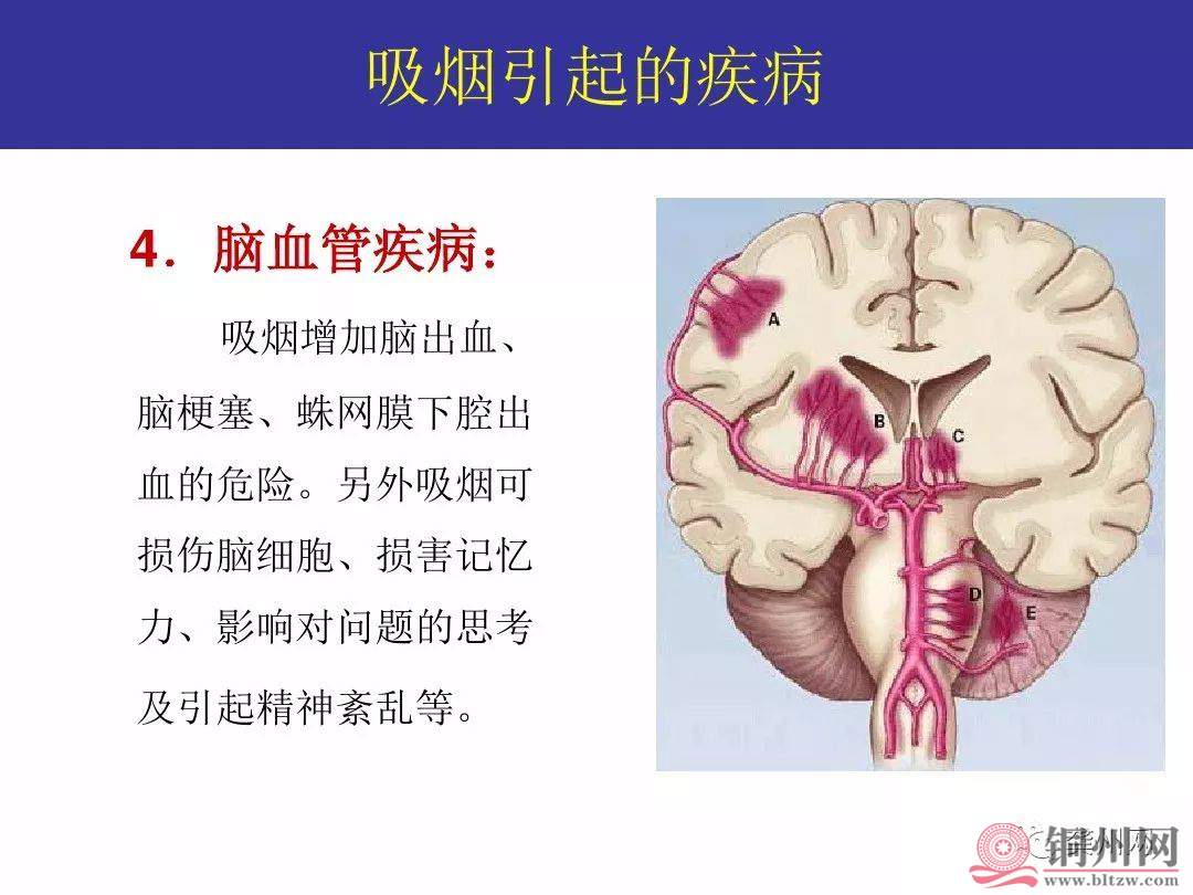 a8a18d54c2f38ea02af0d6fd59134149.jpg