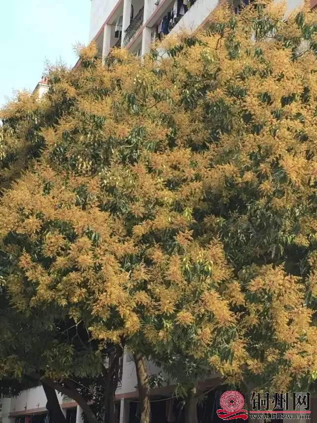 wechat_upload15706254205d9dd78c7b0ac