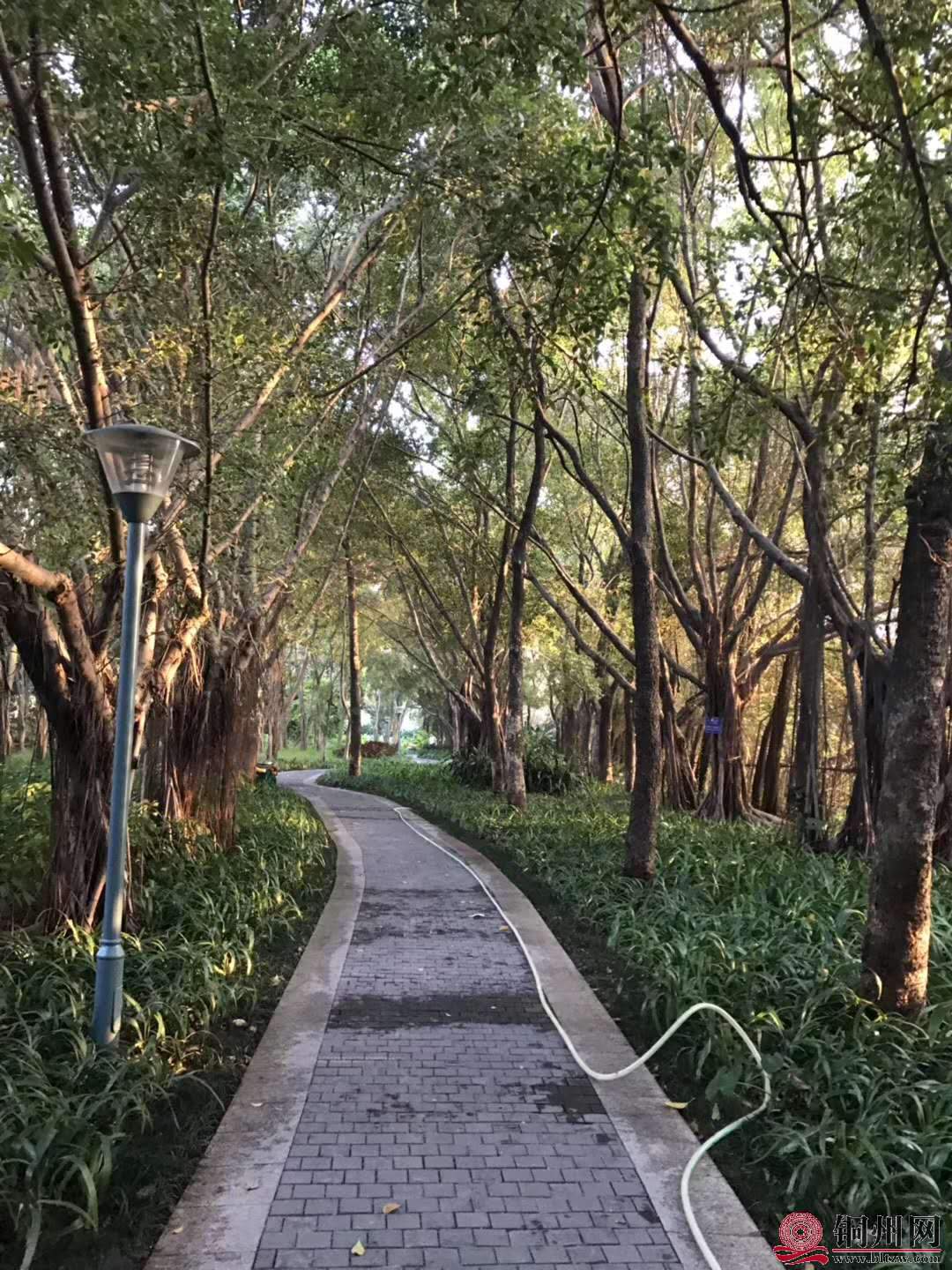 wechat_upload15763144215df4a63506326