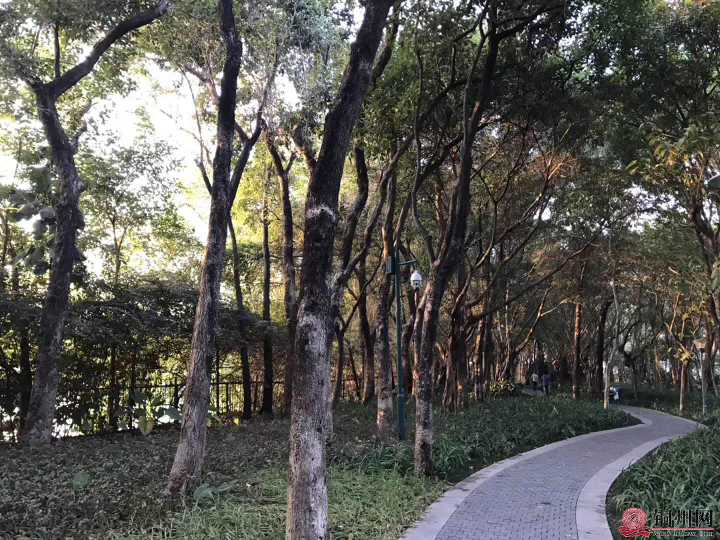 wechat_upload15763144225df4a6365fa10