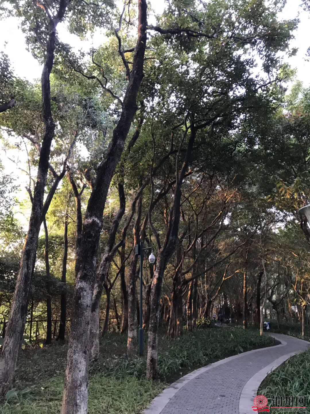 wechat_upload15763144225df4a636ecee7