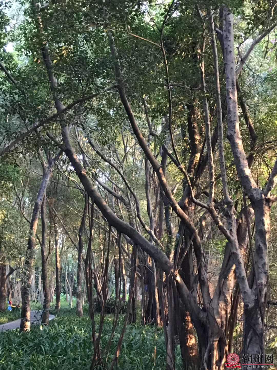 wechat_upload15763144235df4a6378c9c4