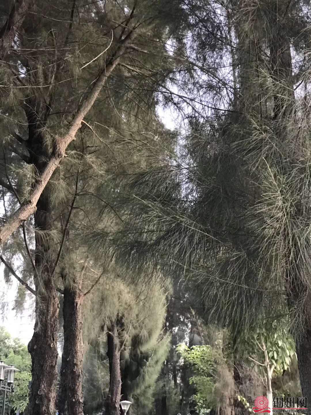 wechat_upload15763144255df4a63947255