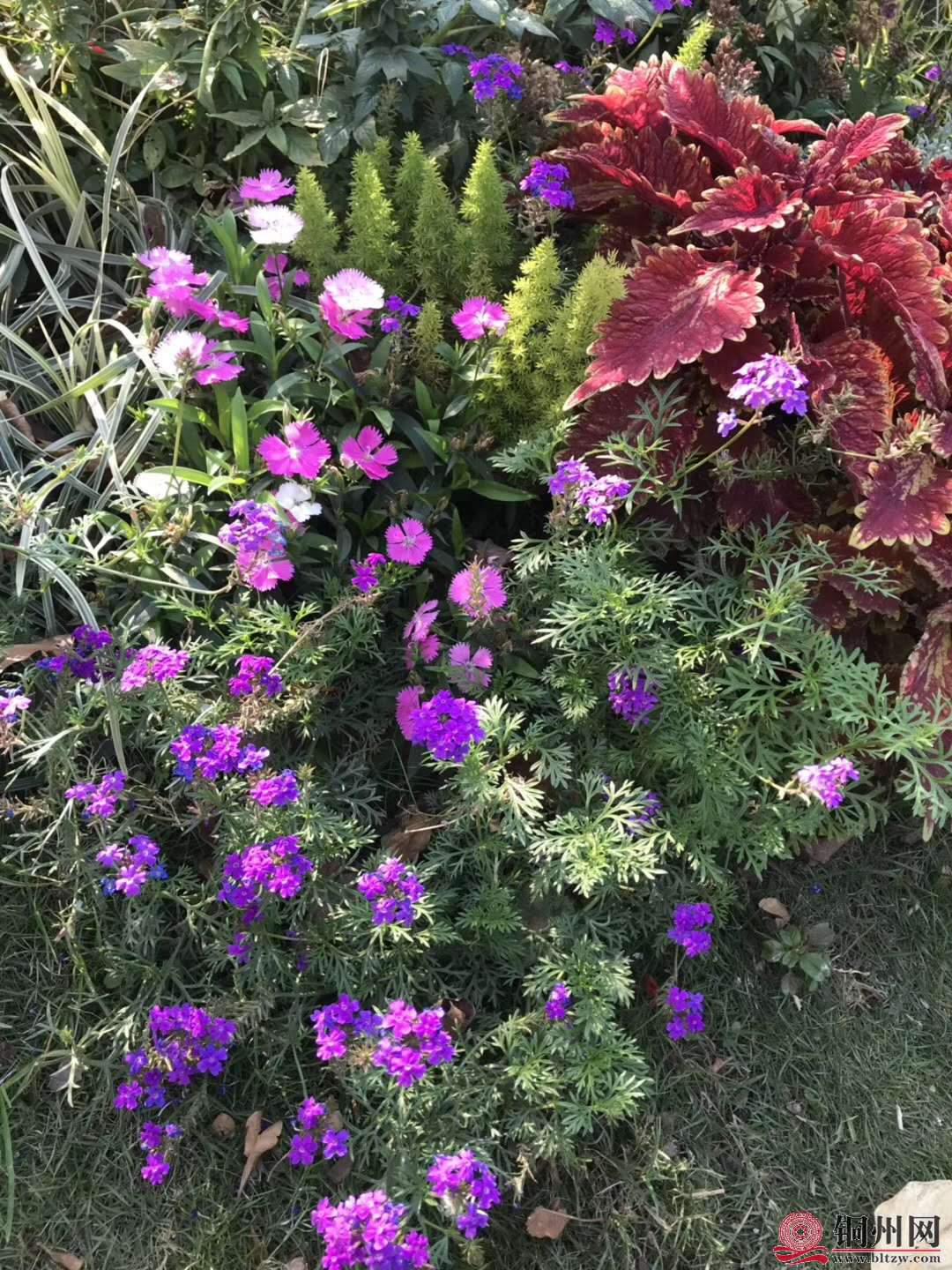 wechat_upload15763145745df4a6cedda33