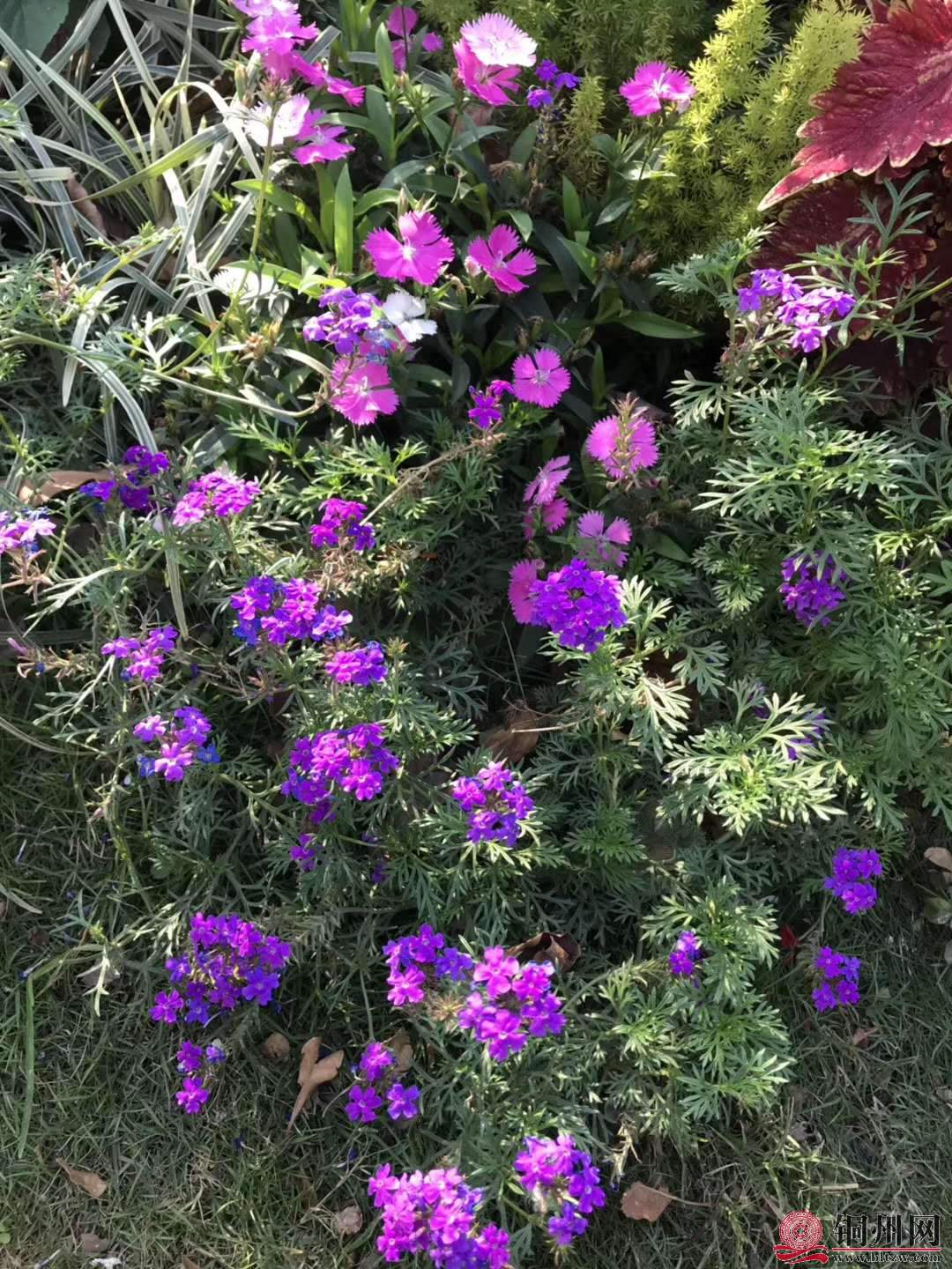 wechat_upload15763145755df4a6cf881b8