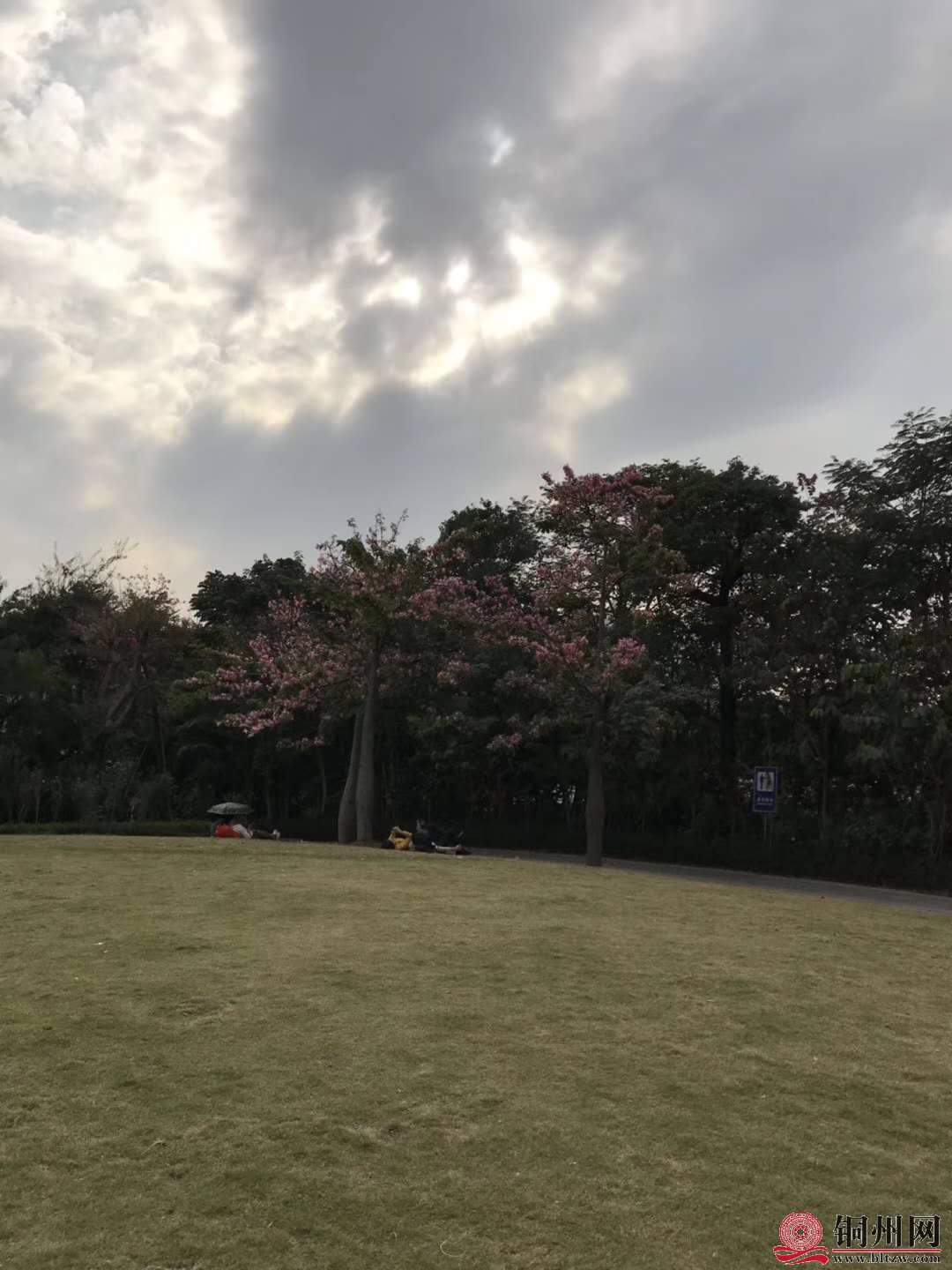 wechat_upload15763145765df4a6d0ed534