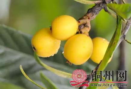 wechat_upload15901740525ec82164d688a