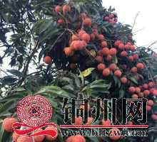 wechat_upload15928159765ef071688593f