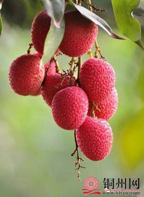 wechat_upload15942119875f05be93e9bda