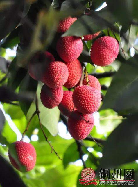 wechat_upload15942120215f05beb5c874a