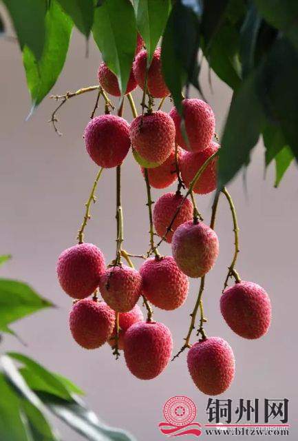 wechat_upload15942120225f05beb62ed56