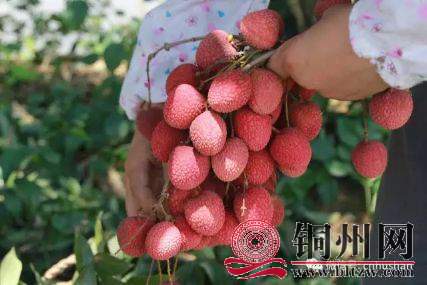 wechat_upload15942120225f05beb6dcd25