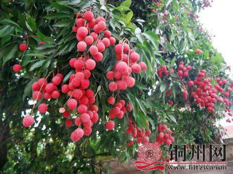 wechat_upload15942120245f05beb8b8184