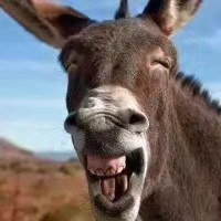 wechat_upload15943357035f07a1d76d82f