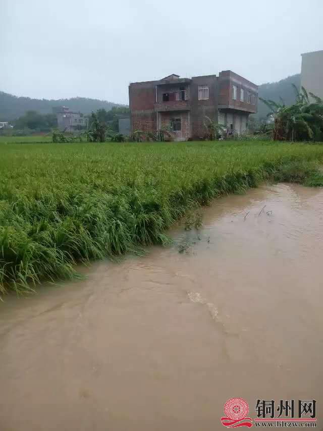 wechat_upload15944933865f0a09ca97939