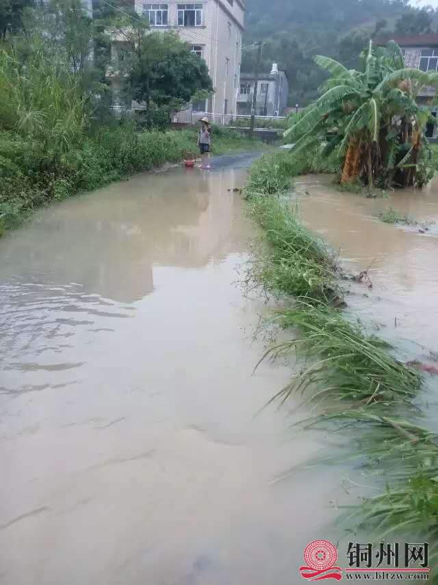 wechat_upload15944933865f0a09cae8e63