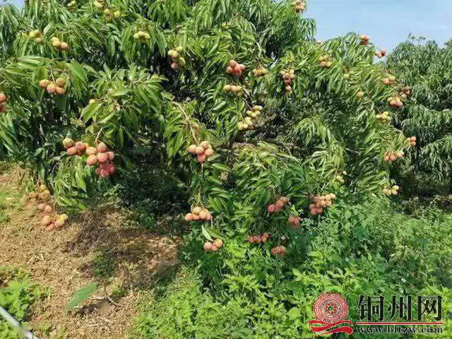 wechat_upload15947247775f0d91a9f138f