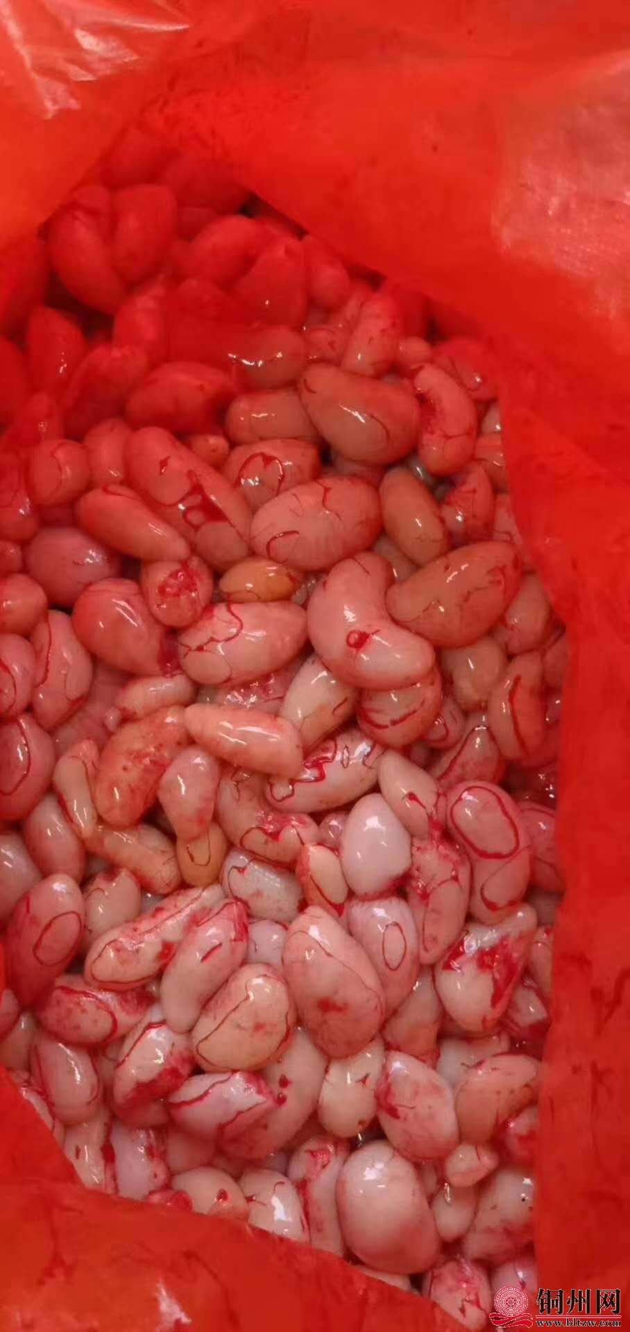 wechat_upload15948356995f0f42f3dc66e