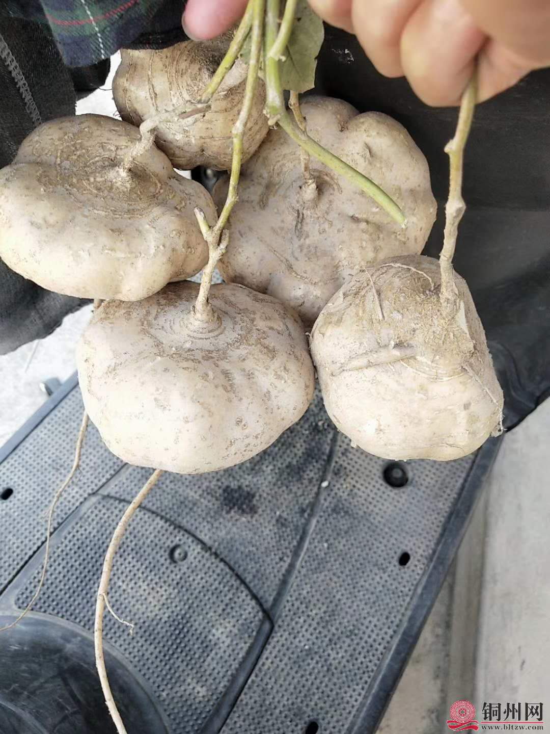 wechat_upload15948378375f0f4b4d5caaf