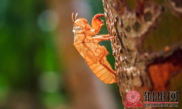 wechat_upload15948381735f0f4c9de9d2a