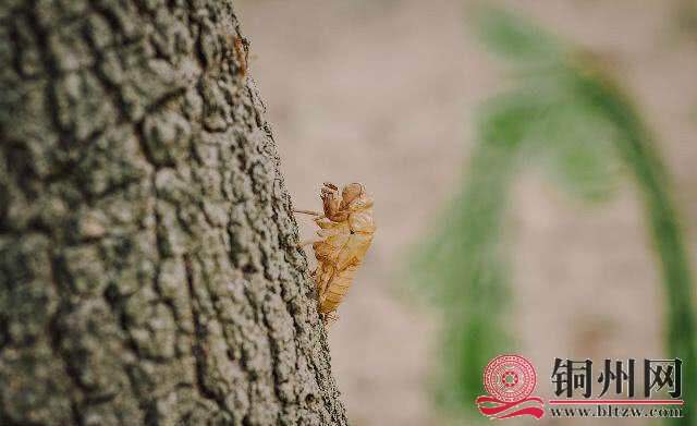 wechat_upload15948381765f0f4ca0c2ac2