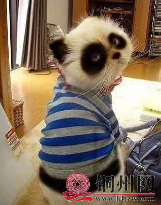 wechat_upload15954590935f18c615c34ac