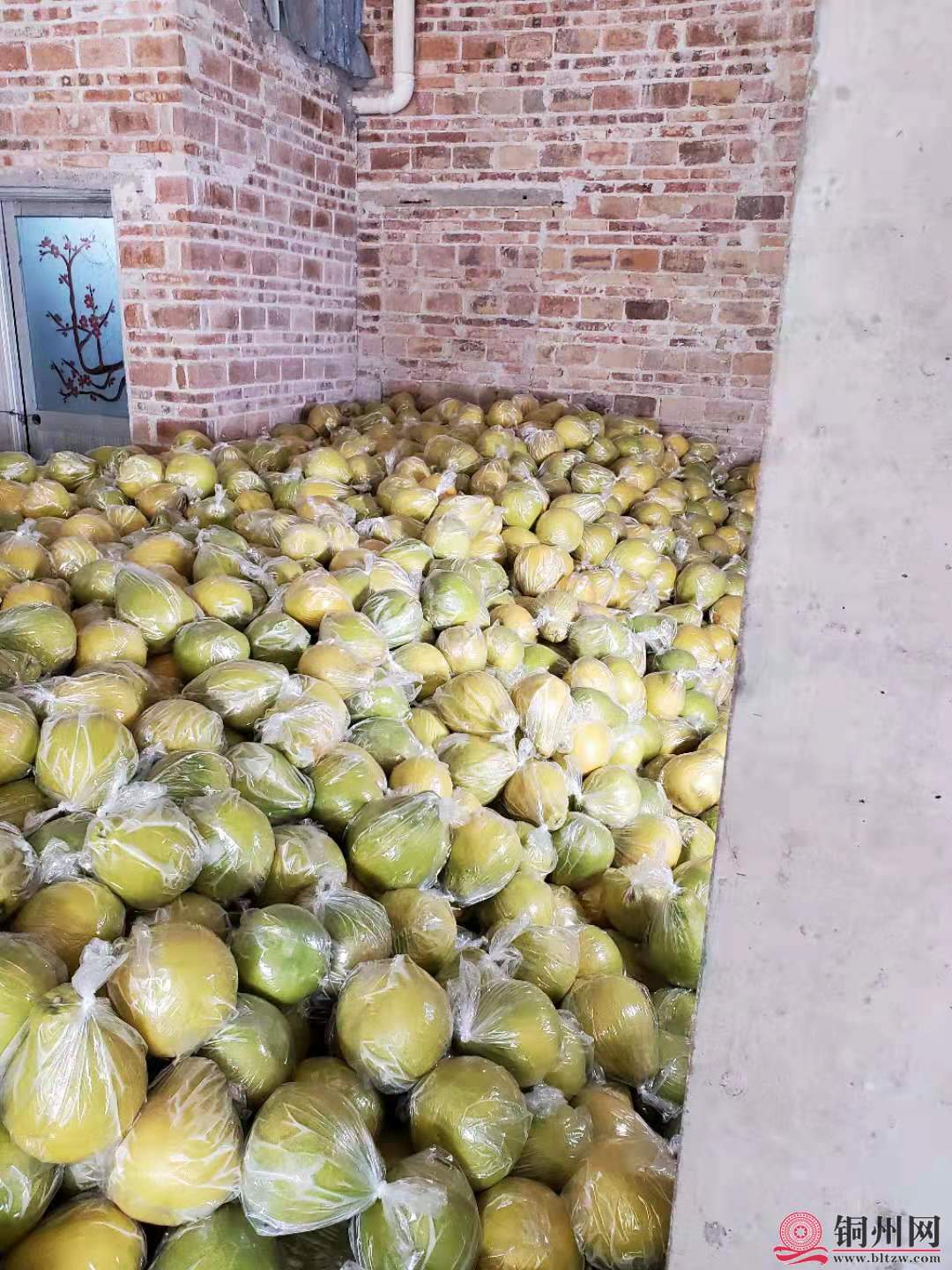 wechat_upload16056310075fb3fc1f3c0f8