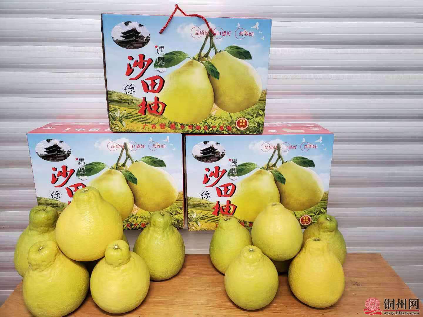 wechat_upload16056310095fb3fc215838e