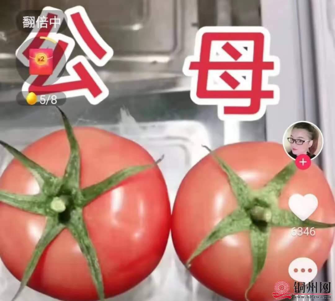 wechat_upload161632932460573a6c09284