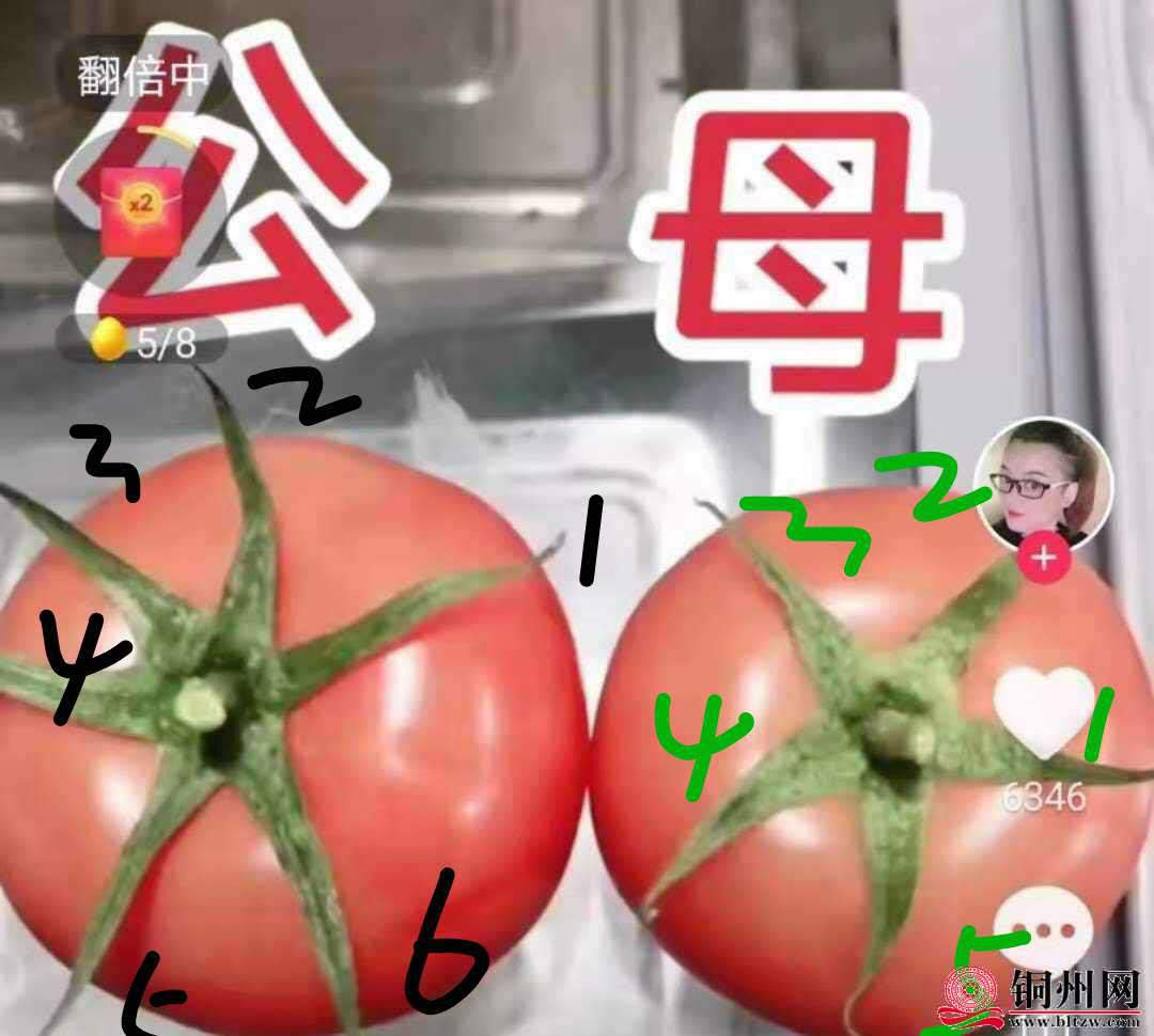 wechat_upload16164912516059b2f3b80dc