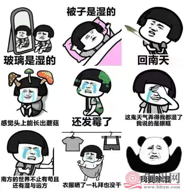 c8fce705261e0b2e334c75fa9786c7fc.jpg c8fce705261e0b2e334c75fa9786c7fc.jpg