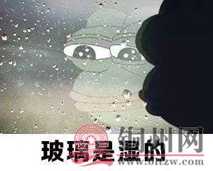 ae8f108f540e53cc64efe699e8711de9.jpg ae8f108f540e53cc64efe699e8711de9.jpg