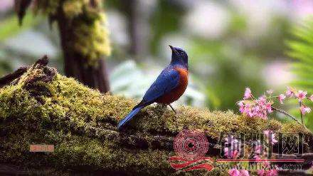 1c93de2f8011b718cc52f2c3ec02c671.jpg