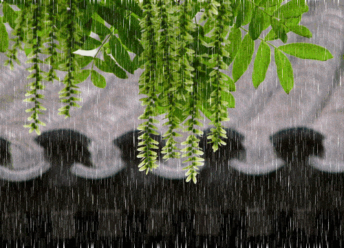 bf268057678ccede826c5f77a24a7cf9.gif