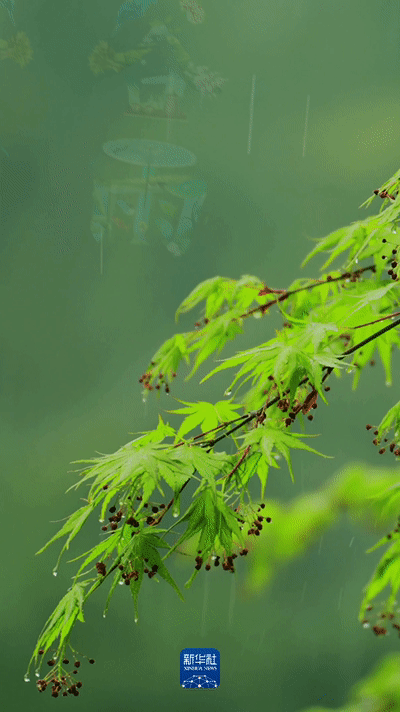 447244cec7b6f66bc11d51c67594d261.gif